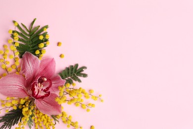 Photo of Beautiful floral composition with mimosa flowers on pink background, flat lay. Space for text