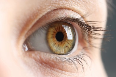 Photo of Macro photo of woman with beautiful eyes