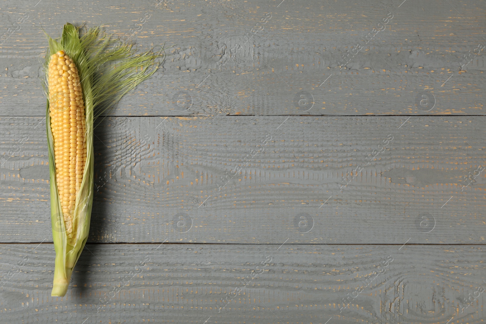 Photo of Corn cob on grey wooden table, top view. Space for text