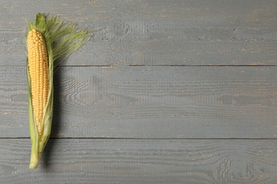 Photo of Corn cob on grey wooden table, top view. Space for text