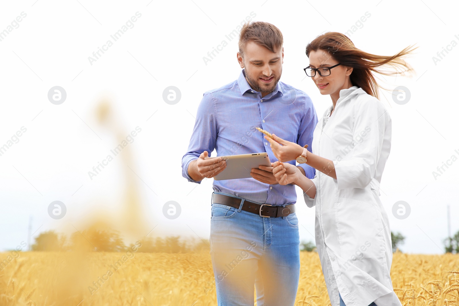 Photo of Young agronomists in grain field. Cereal farming