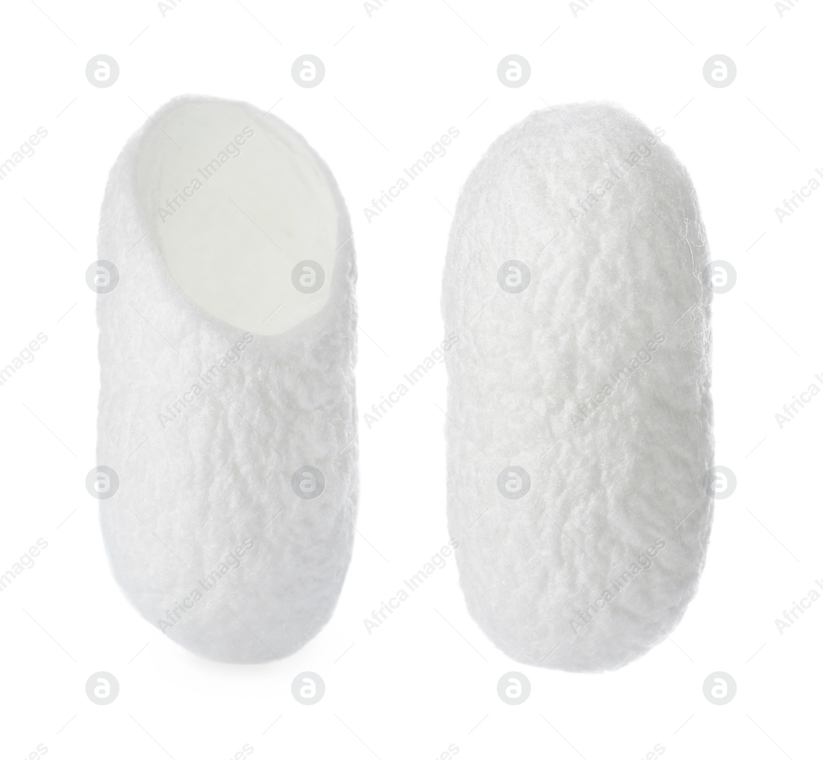 Image of Natural silkworm cocoons on white background, closeup