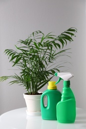 Beautiful house plant and bottles of fertilizers on table indoors