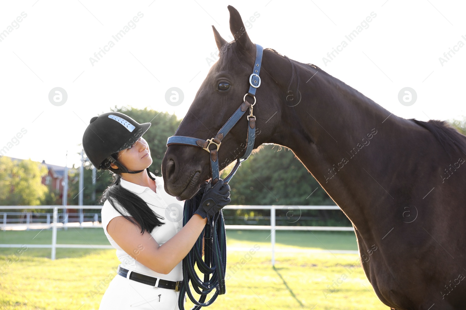 Photo of Young woman in horse riding suit and her beautiful pet outdoors on sunny day