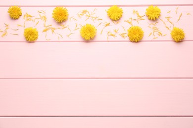 Photo of Flat lay composition with beautiful yellow dandelions on pink wooden table. Space for text