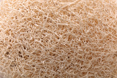 Photo of Loofah sponge as background, closeup. Personal hygiene product