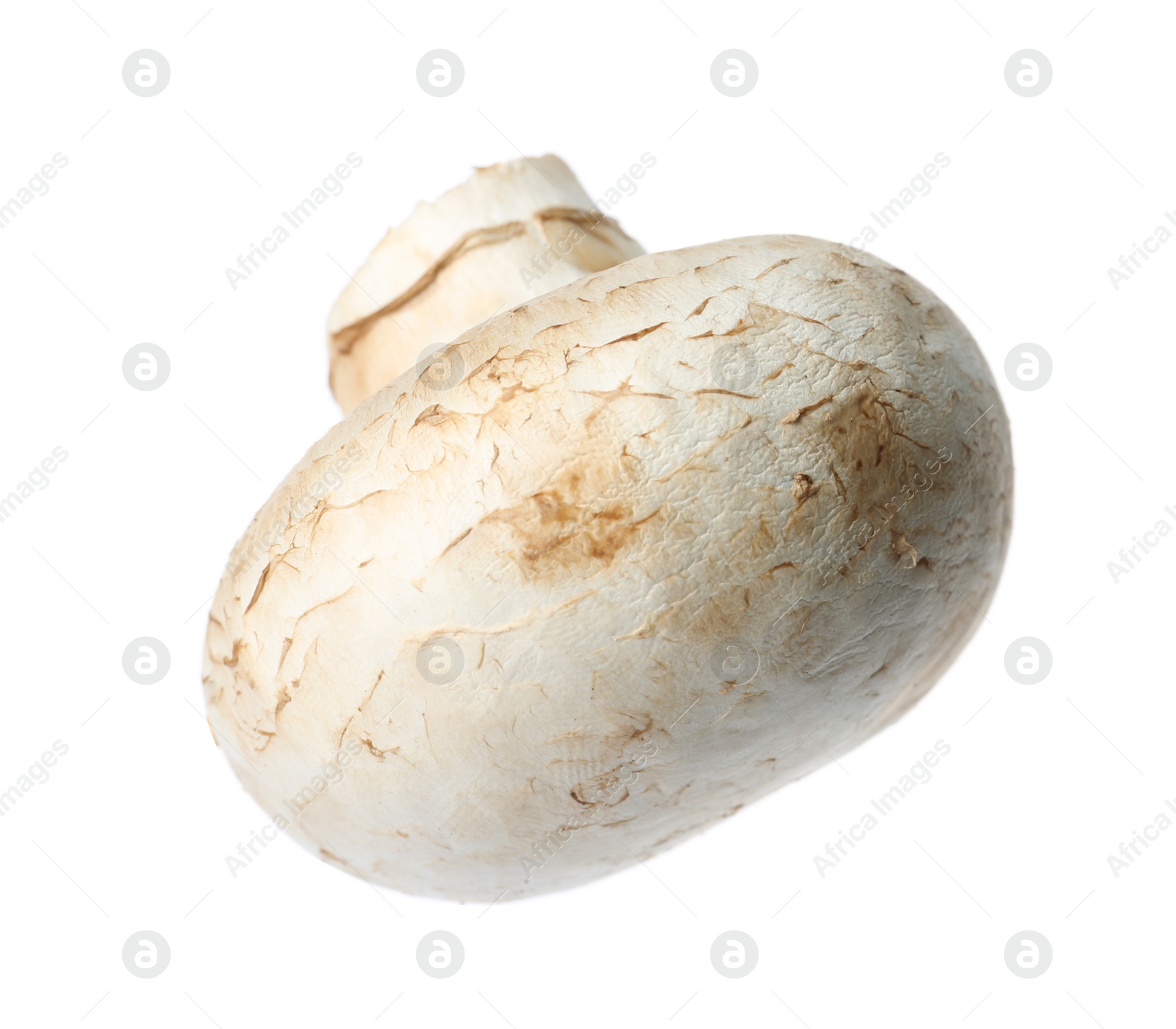 Photo of Fresh champignon mushroom isolated on white. Healthy food