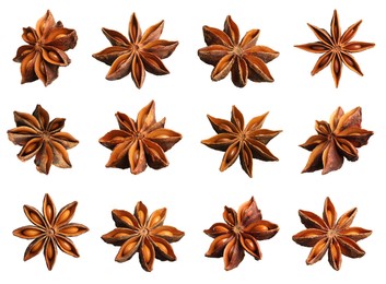 Image of Set with dry anise anise stars on white background