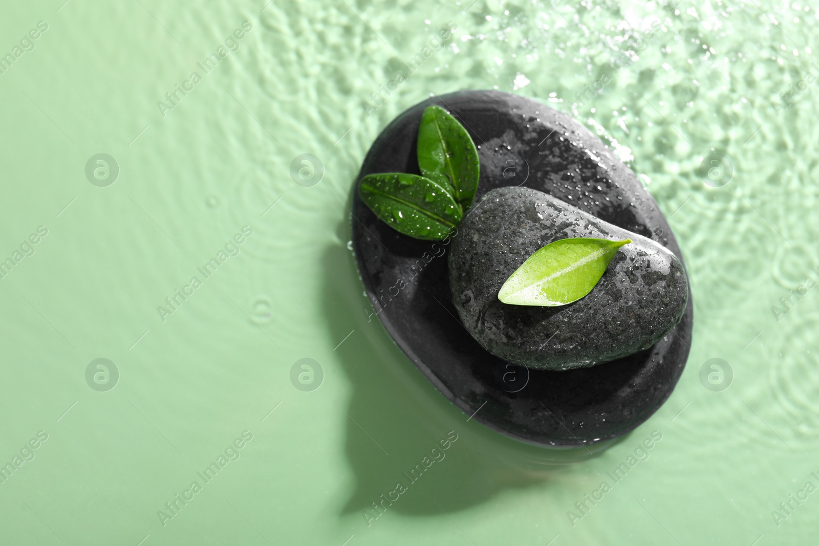 Photo of Spa stones and fresh leaves in water on light green background, top view. Space for text