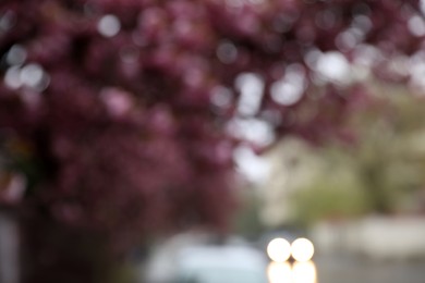 Photo of Blurred view of beautiful blossoming tree and car on city street. Bokeh effect