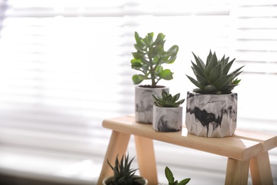 Photo of Beautiful potted succulents on wooden stand indoors. Space for text