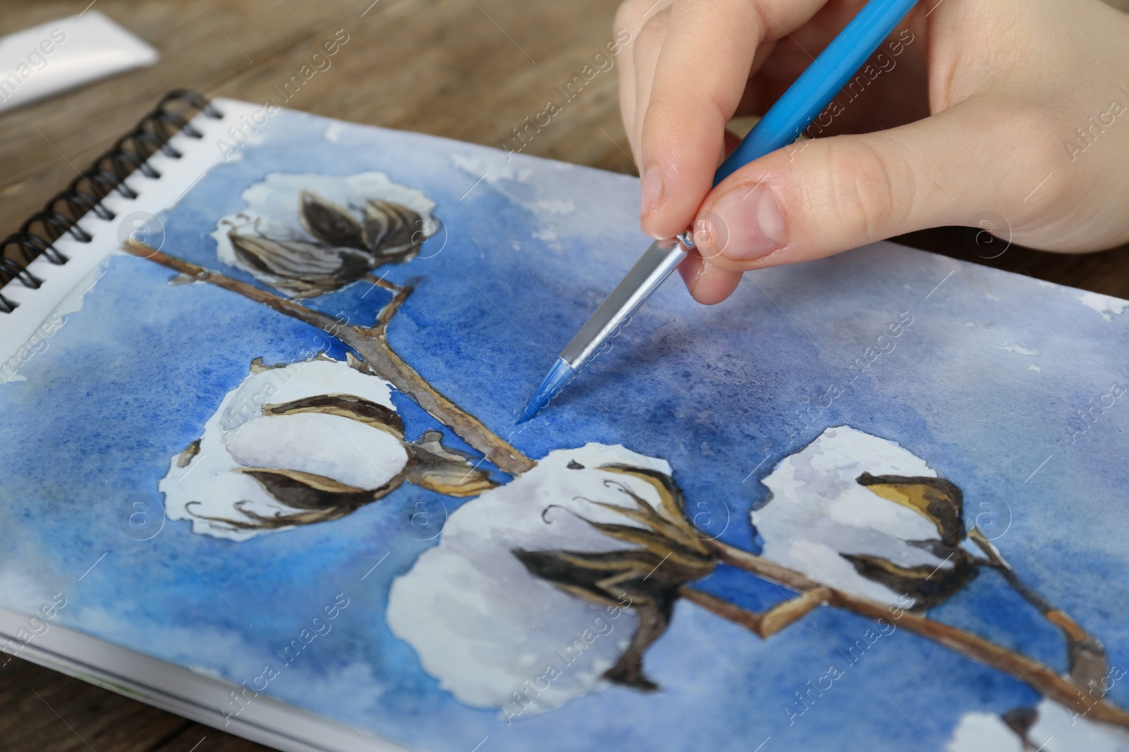 Photo of Woman painting cotton flowers in sketchbook at table, closeup