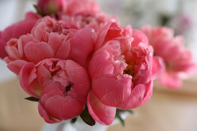 Photo of Beautiful peony bouquet on blurred background, closeup