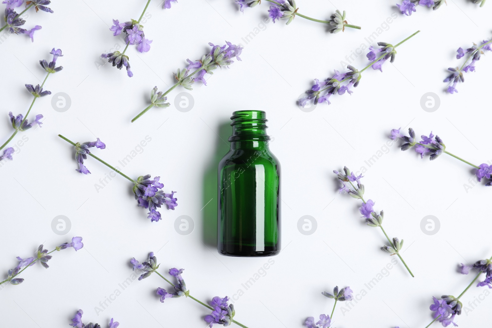 Photo of Bottle of essential oil and lavender flowers on white background, flat lay