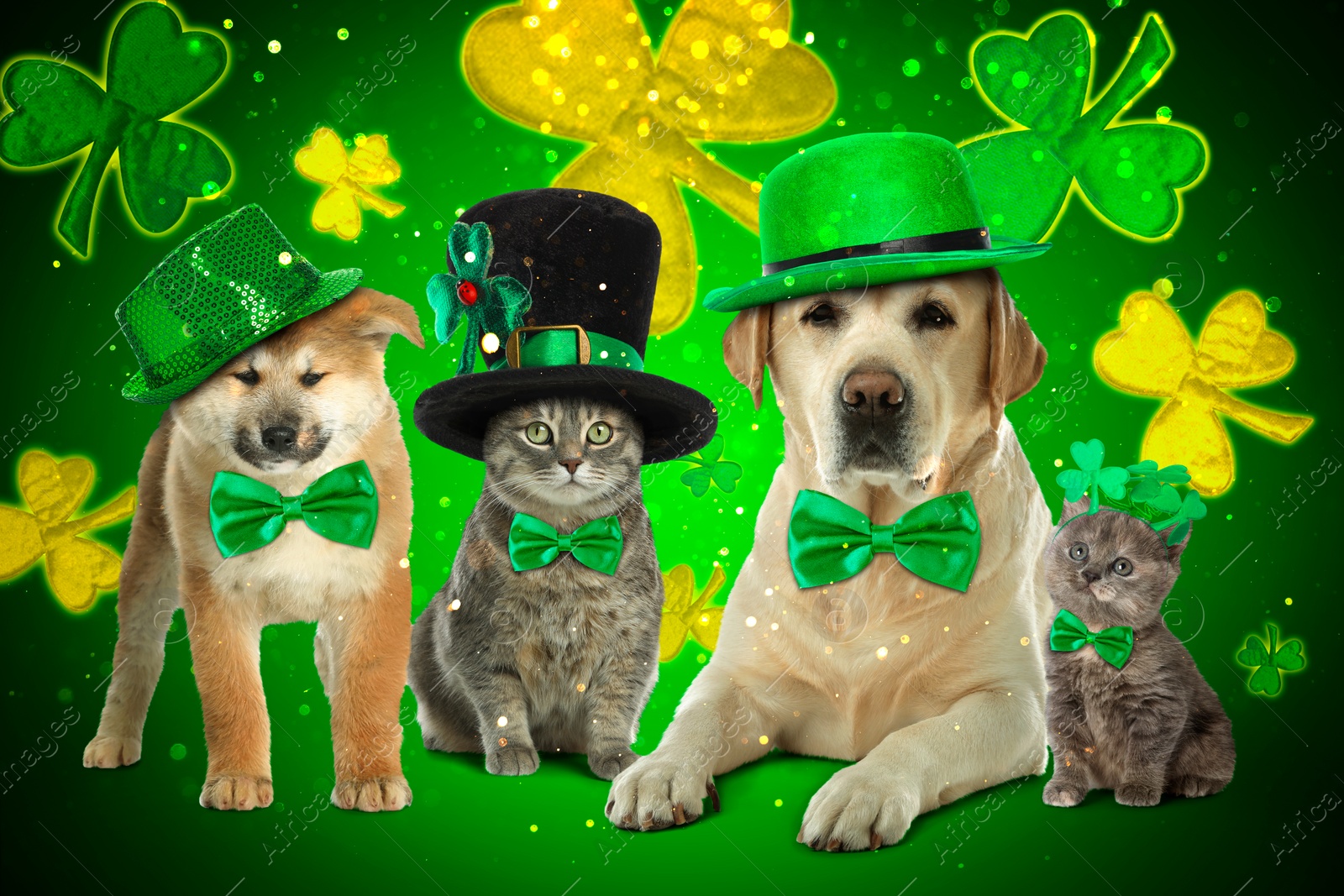Image of St. Patrick's day celebration. Cute dogs and cats with festive accessories on green background
