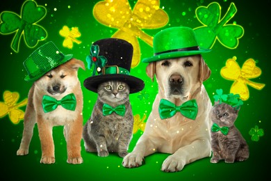 St. Patrick's day celebration. Cute dogs and cats with festive accessories on green background