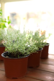 Photo of Fresh potted home plants on wooden window sill, space for text