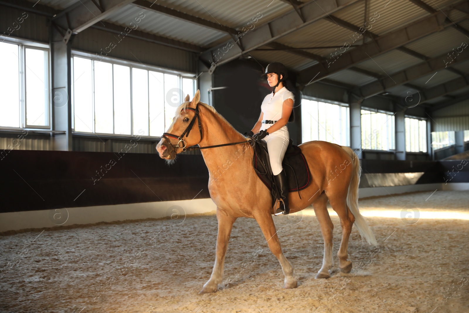 Photo of Young woman in equestrian suit riding horse indoors. Beautiful pet