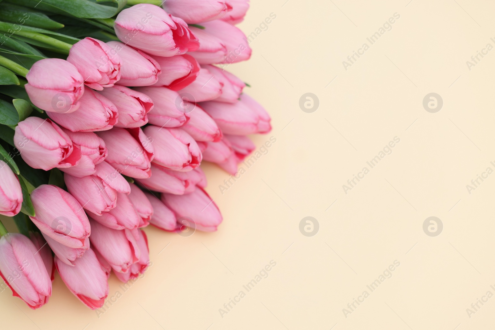 Photo of Bouquet of beautiful pink tulips on beige background, closeup. Space for text
