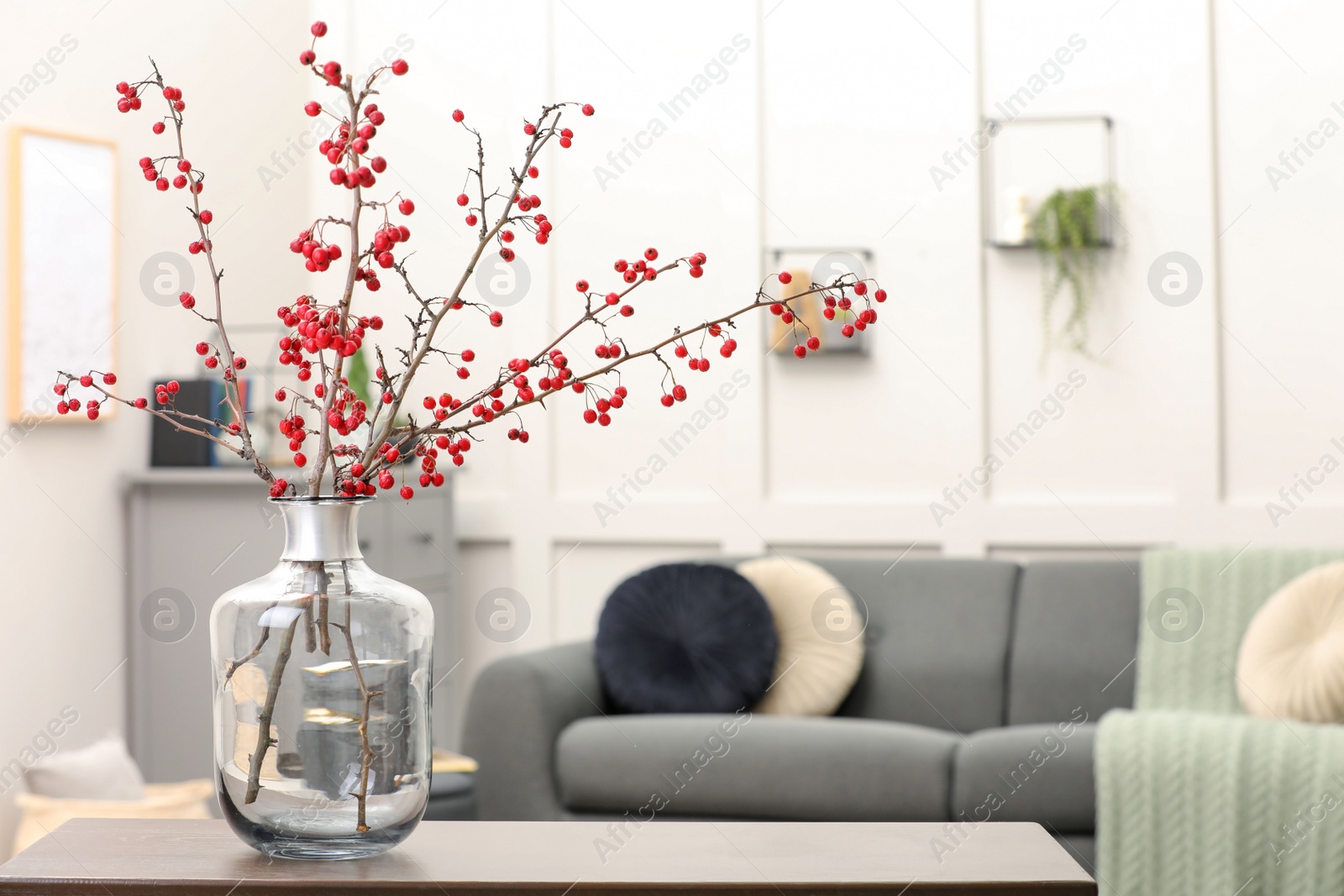 Photo of Hawthorn branches with red berries on table in living room, space for text