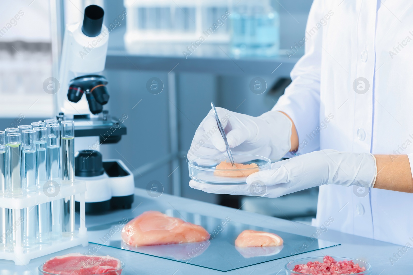 Photo of Scientist holding Petri dish with meat sample over table in laboratory