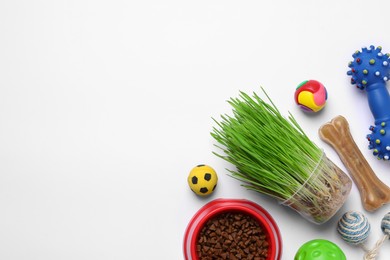 Flat lay composition with pet toys and food on white background, space for text