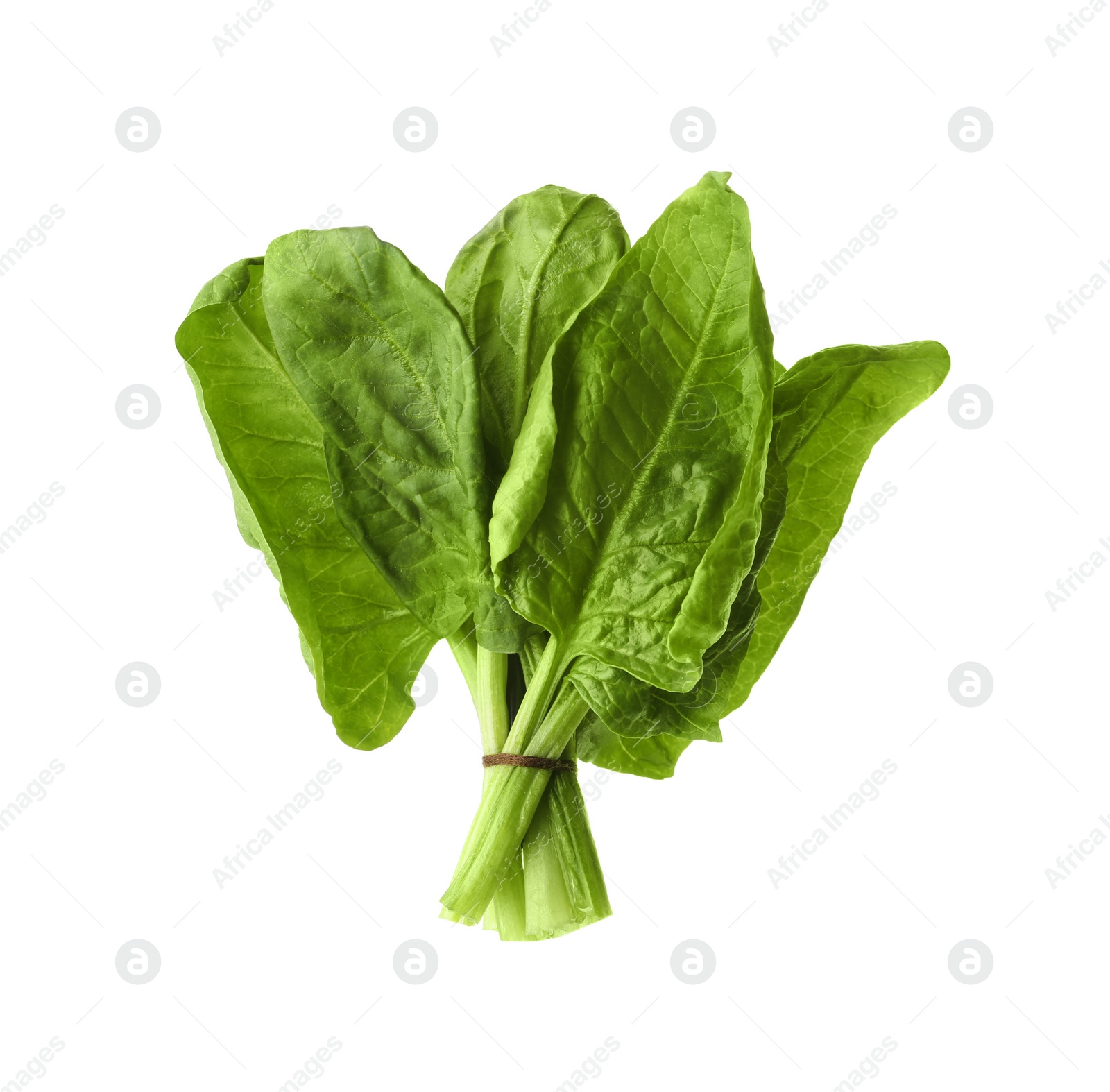 Photo of Bundle of fresh spinach isolated on white