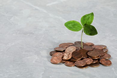 Coins with green sprout on grey table, space for text. Investment concept
