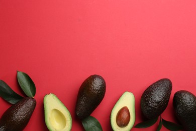 Whole and cut ripe avocadoes with green leaves on red background, flat lay. Space for text