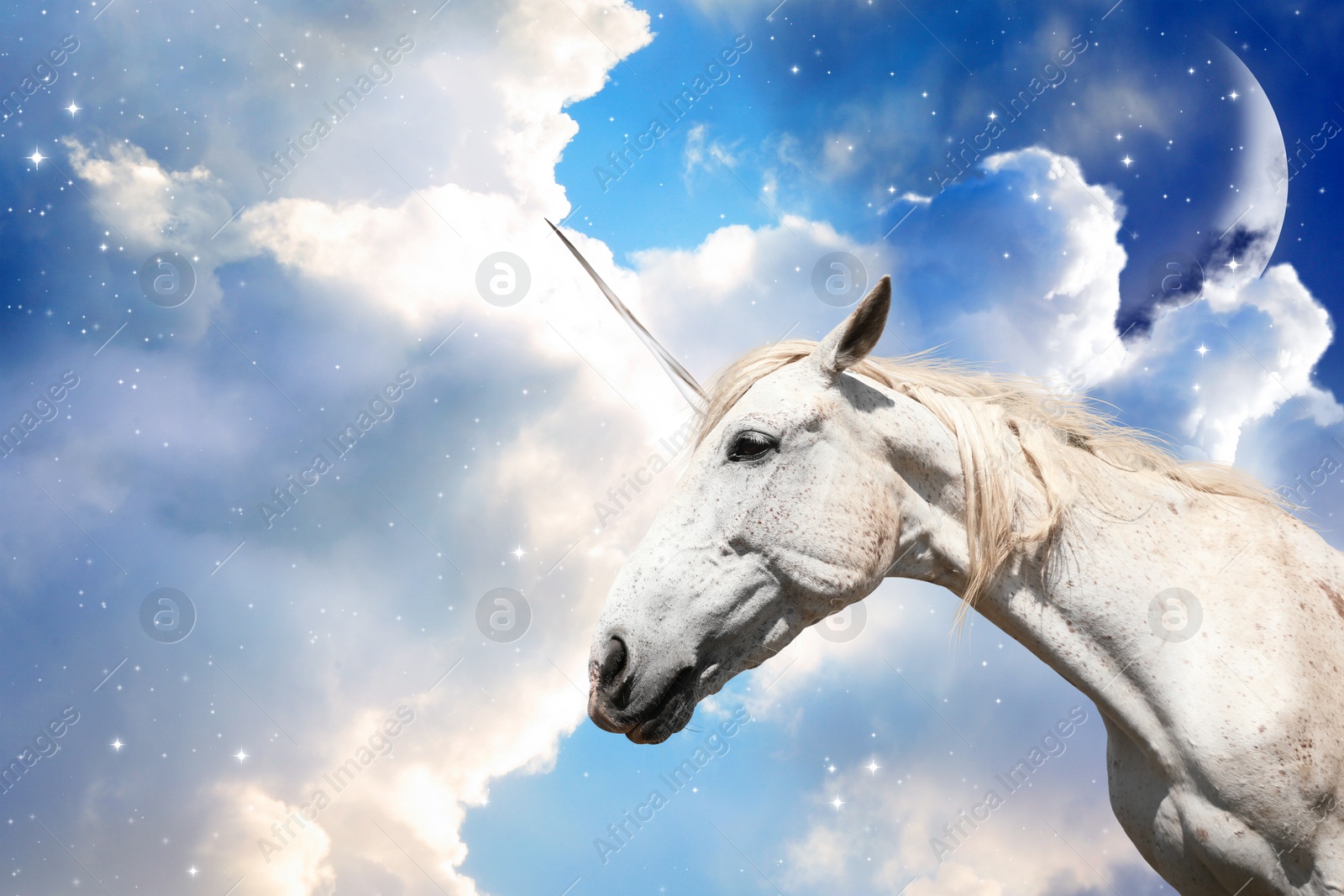 Image of Magic unicorn in fantastic sky with fluffy clouds and crescent 