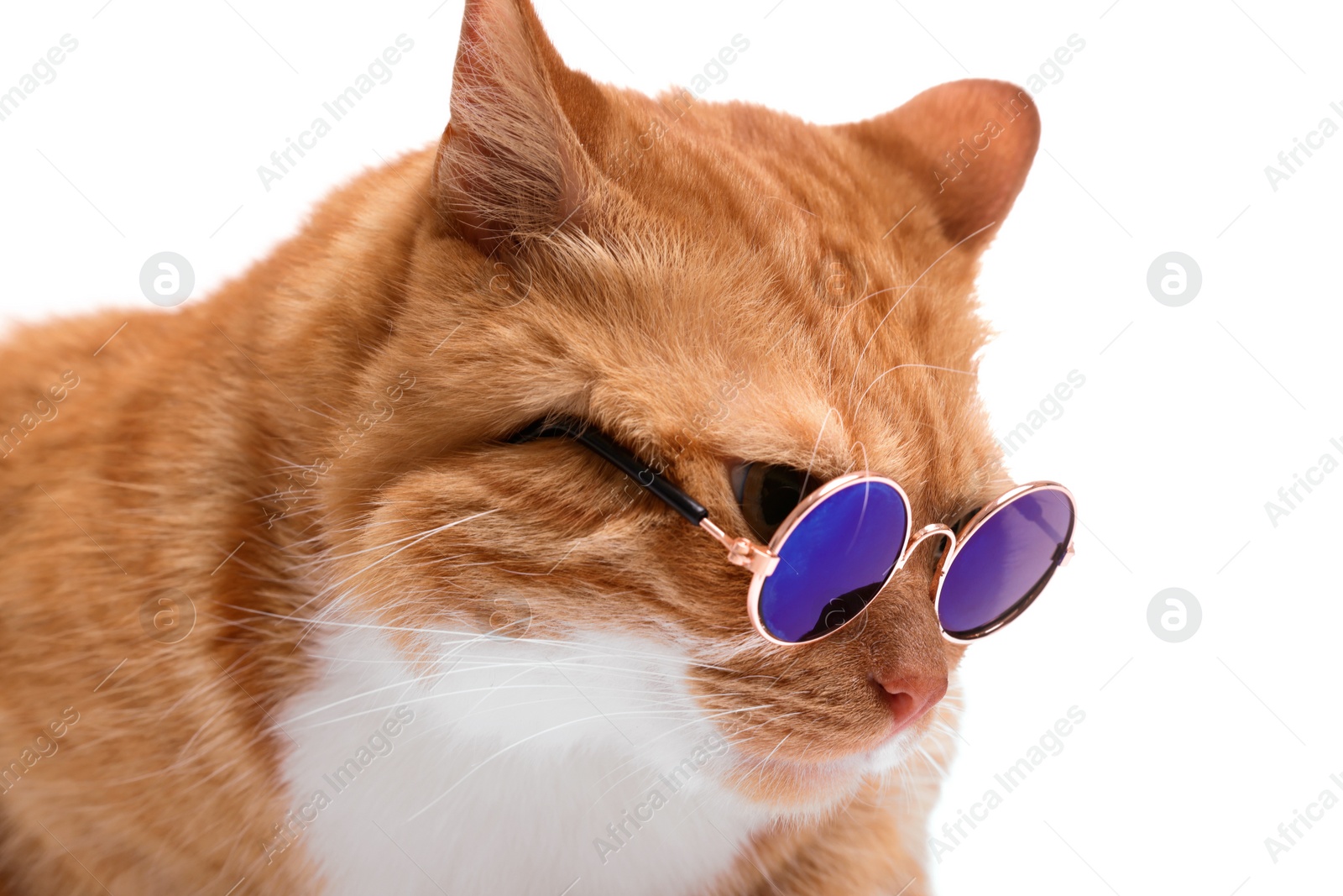 Photo of Cute ginger cat in stylish sunglasses on white background, closeup