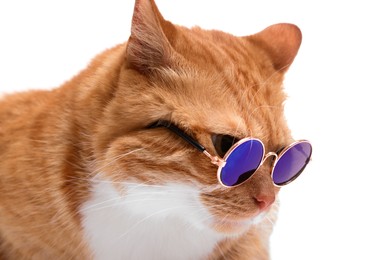 Cute ginger cat in stylish sunglasses on white background, closeup