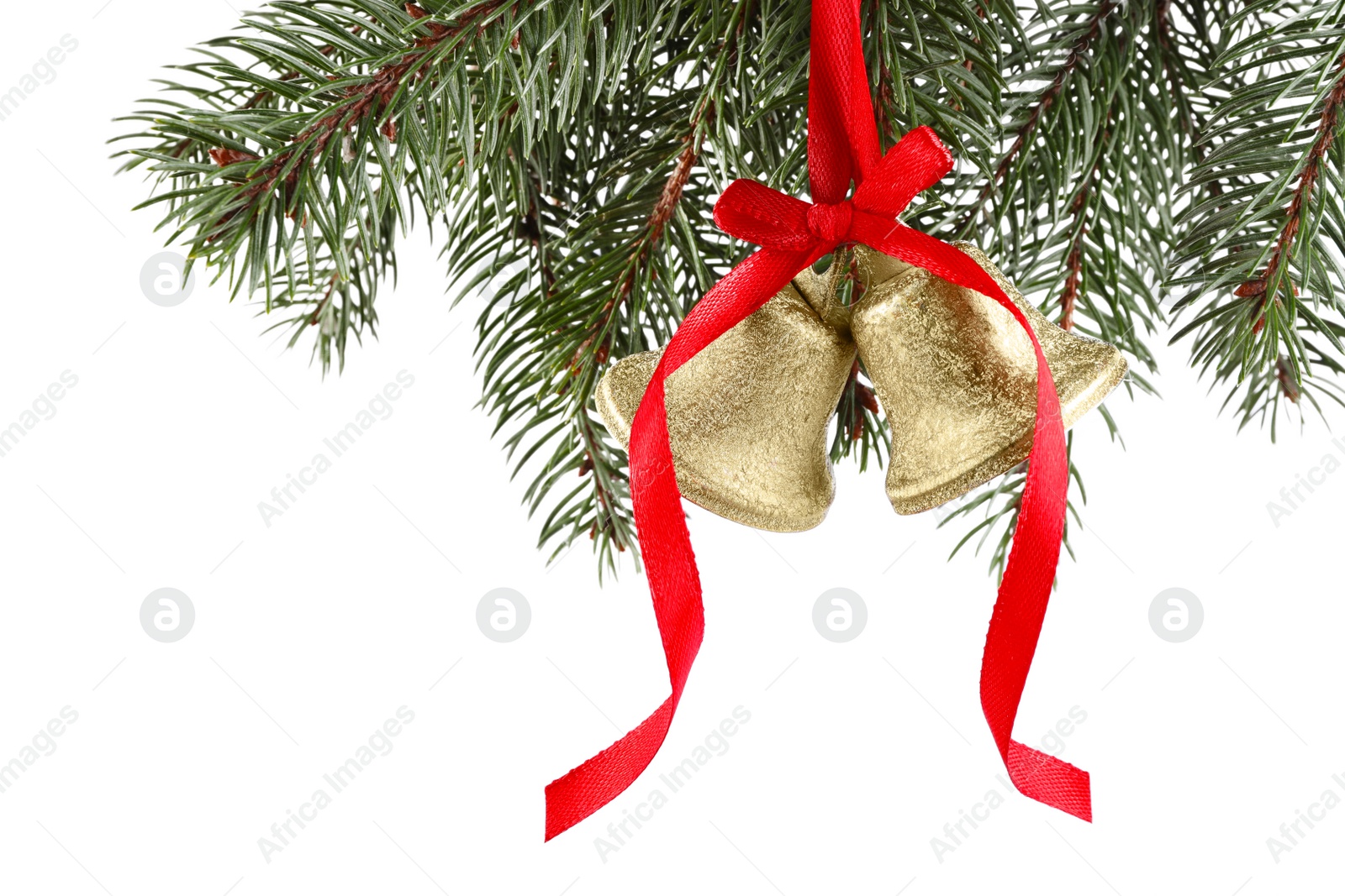 Photo of Christmas bells with red bow hanging on fir tree branch against white background