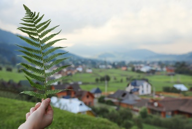 Woman holding fresh green fern leaf outdoors, closeup with space for text. Tropical plant