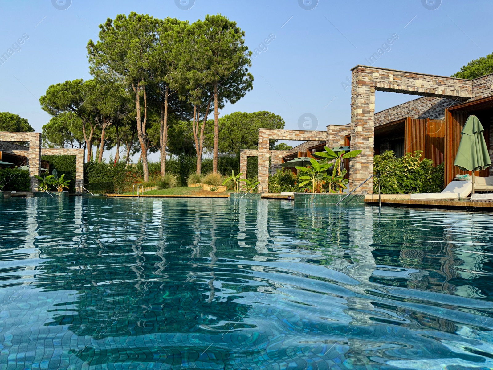 Photo of Swimming pool and exotic plants at luxury resort