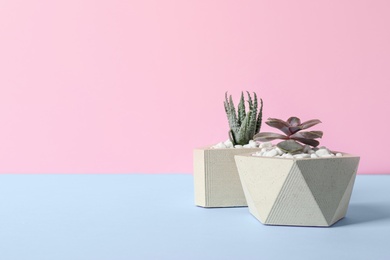 Beautiful succulent plants in stylish flowerpots on blue table against pink background, space for text. Home decor