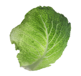 Photo of Green leaf of savoy cabbage isolated on white