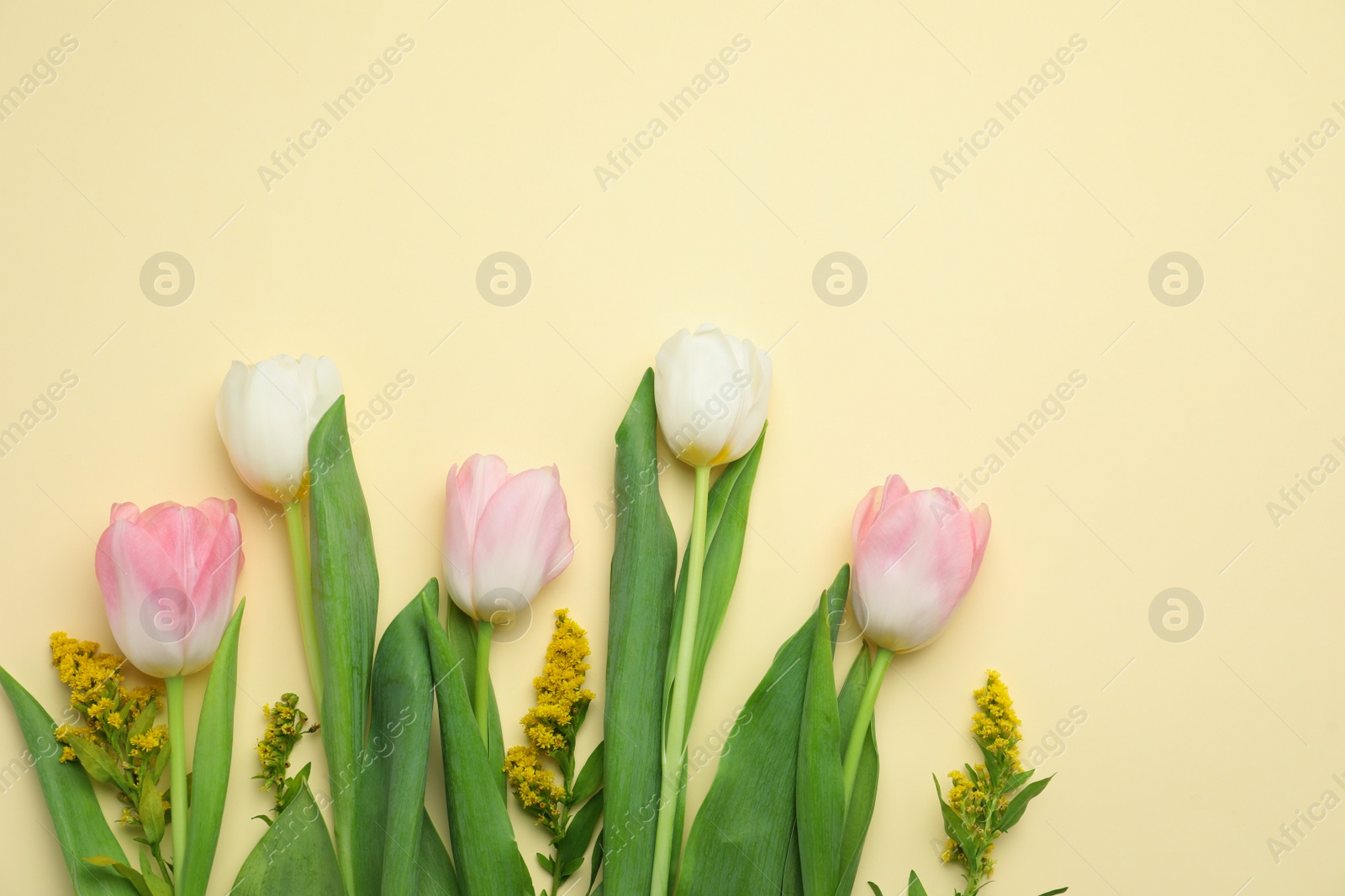 Photo of Flat lay composition with spring flowers on yellow background. Space for text