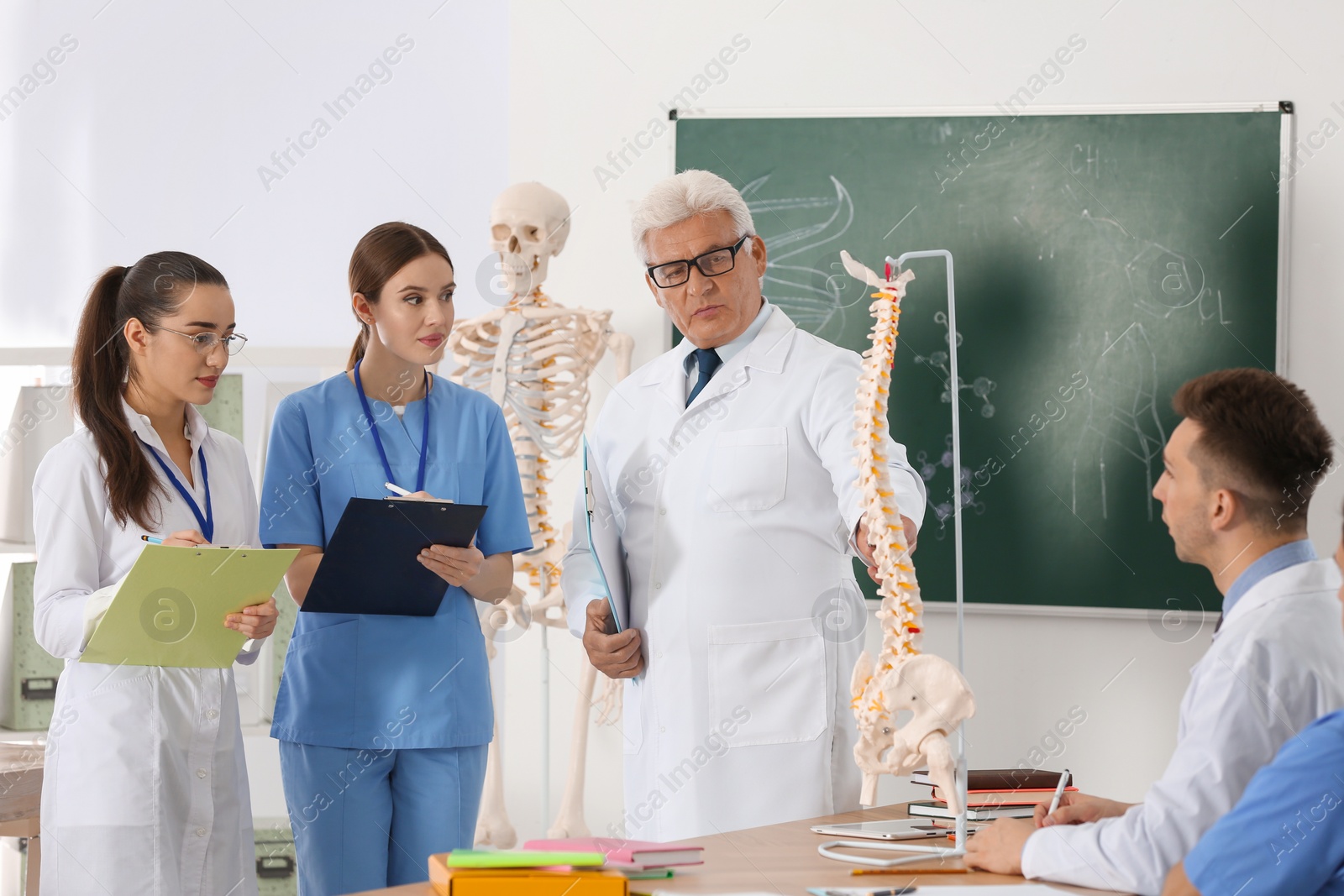 Photo of Medical students and professor studying human spine structure in classroom