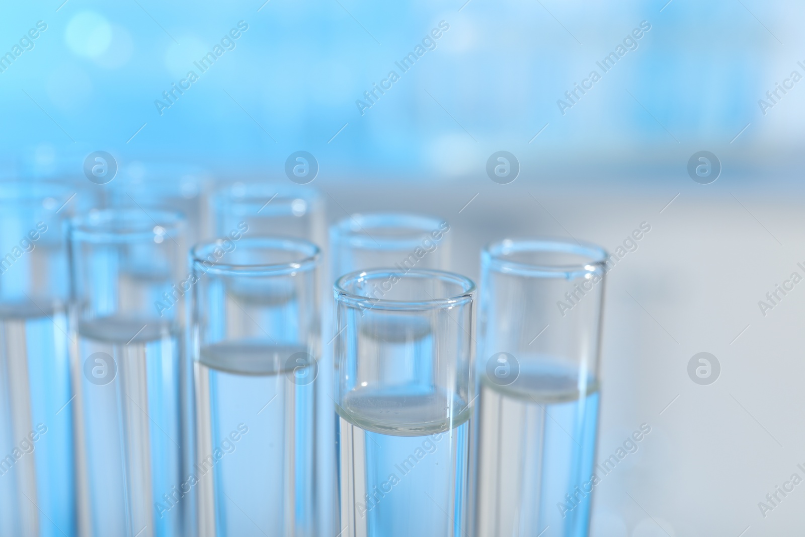 Photo of Many glass test tubes on light background, closeup