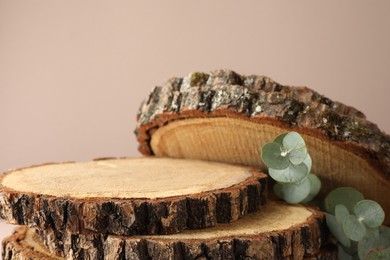 Photo of Presentation for product. Wooden stumps and eucalyptus branches on beige background