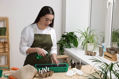 Photo of Young woman spraying water onto vegetable seeds in pots at wooden table indoors