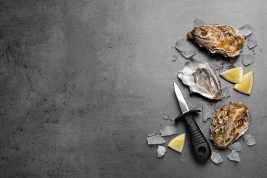 Photo of Fresh oysters with lemon and ice on grey table, flat lay. Space for text