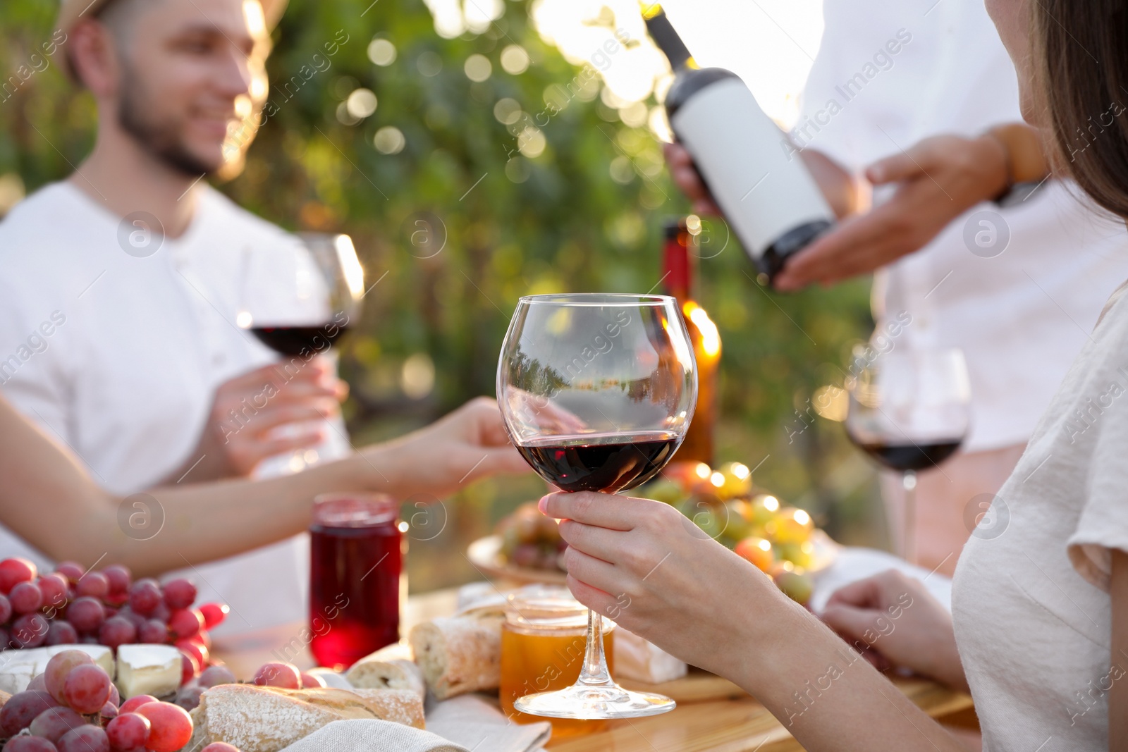 Photo of Friends holding glasses of wine and having fun in vineyard, closeup