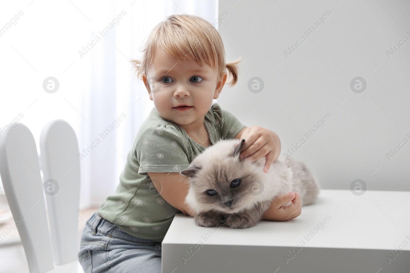 Photo of Cute little child with adorable pet at white table in room