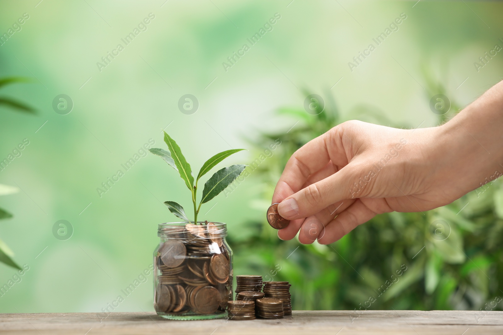 Photo of Woman putting coin onto pile, glass jar and green plant on wooden table against blurred background, closeup