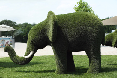 Photo of Beautiful elephant shaped topiary at zoo on sunny day. Landscape gardening