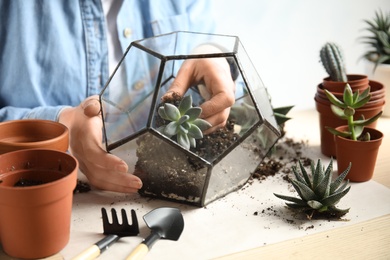 Photo of Woman transplanting home plants into florarium at table, closeup