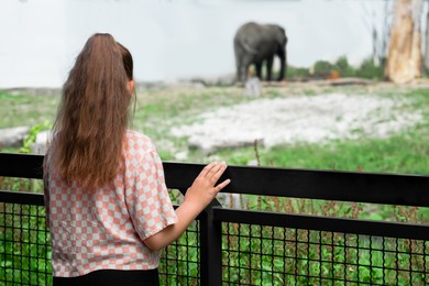 Little girl watching wild elephant in zoo, back view