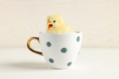 Photo of Cute chick in cup on white wooden table, closeup. Baby animal